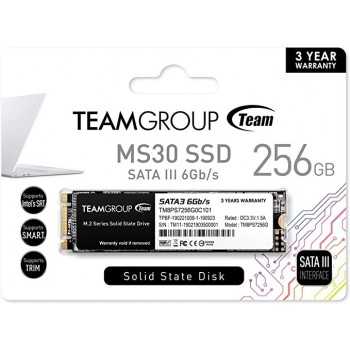 DISQUE DUR TEAM GROUP MS30 SSD M.2 / 256 GO